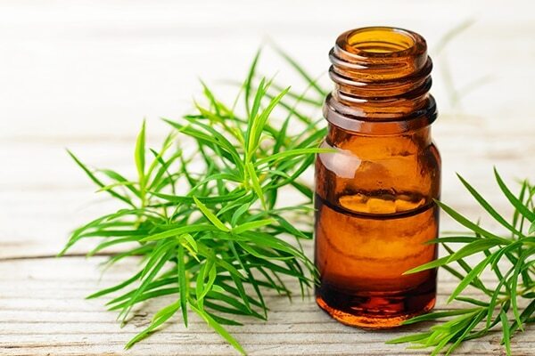 Tea tree oil