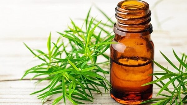 Tea tree oil