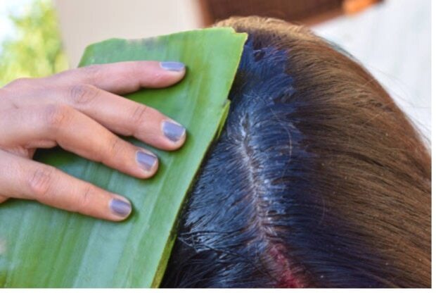 Best 5 Uses for Aloe Vera Skin Products