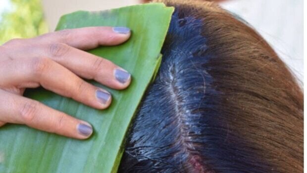 Best 5 Uses for Aloe Vera Skin Products