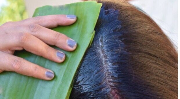 Best 5 Uses for Aloe Vera Skin Products