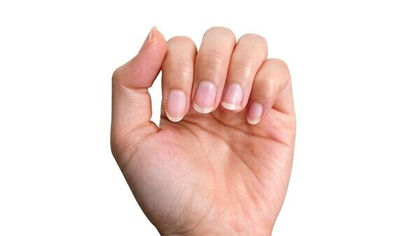 Makeup brush softener