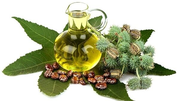 Castor oil