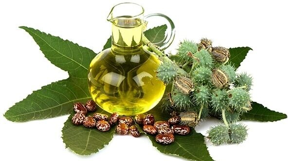 Castor oil