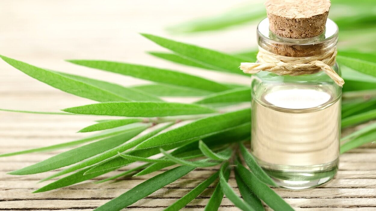 FAQs about herbs for acne