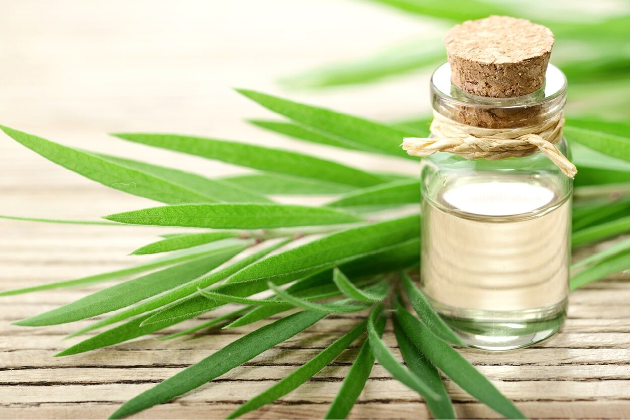 FAQs about herbs for acne