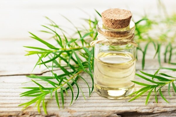 Coconut oil