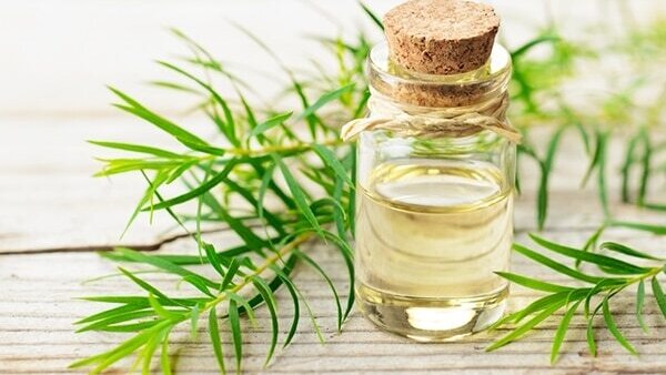 Coconut oil
