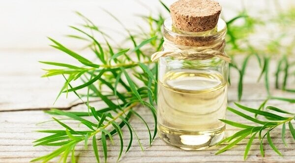 Coconut oil