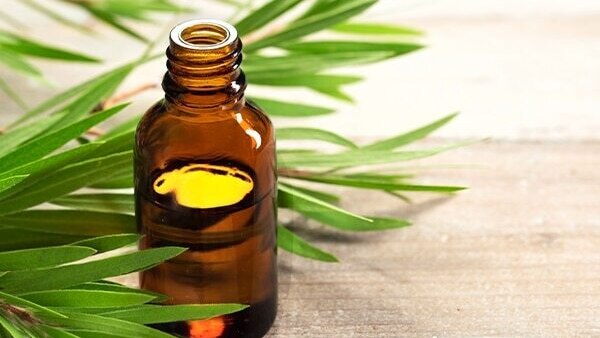 Neem oil