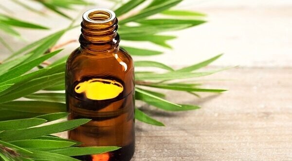 Neem oil