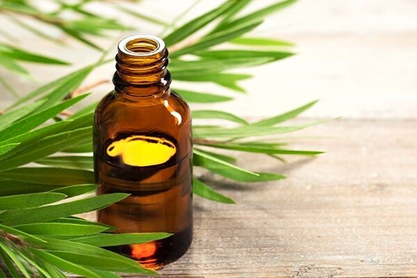Neem oil