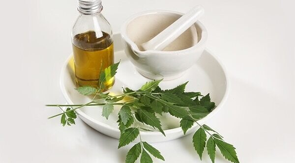 Neem oil