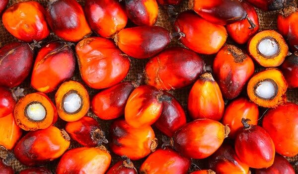3 Beauty Benefits Of Red Palm Oil