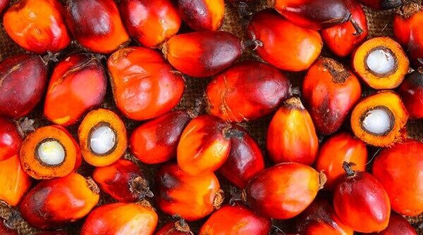 3 Beauty Benefits Of Red Palm Oil