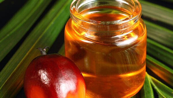 A re-growth and thickening agent