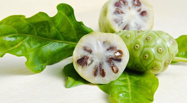 How does one consume noni juice?