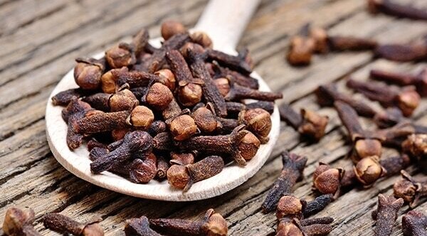 Clove