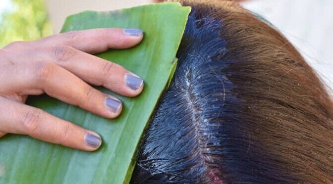 How To Apply Aloe Vera to Hair | Be Beautiful India
