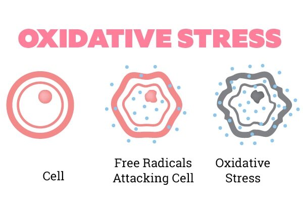 How to use antioxidants in your skincare routine?