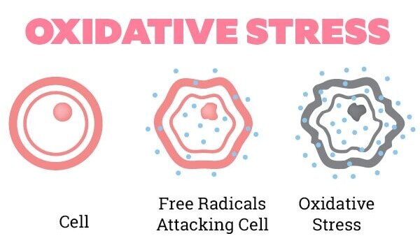 How to use antioxidants in your skincare routine?