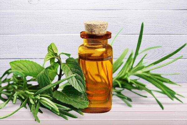 Olive oil