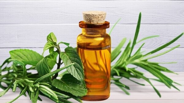 Olive oil