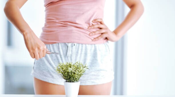 Your Step-By-Step Guide On How To Shave Pubic Hair