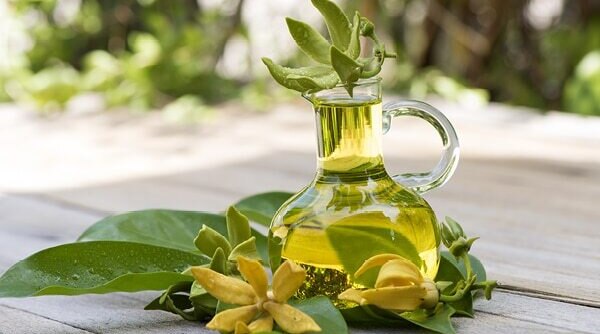 Ylang Ylang Oil Benefits: The Magic Oil Your Skincare Needs