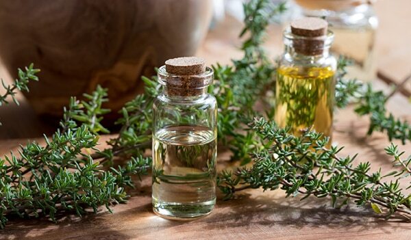 The Many Beauty Benefits Of Thyme Oil