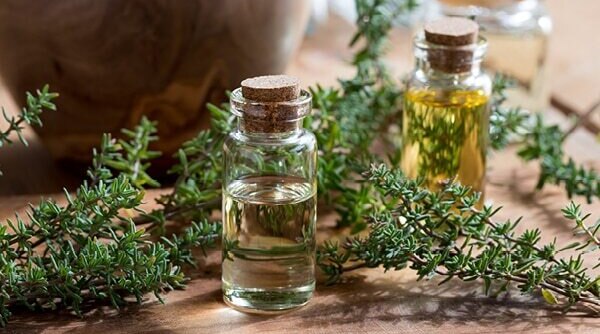 The Many Beauty Benefits Of Thyme Oil