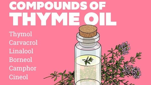 FAQ on thyme oil