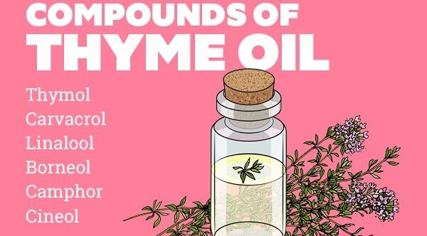 FAQ on thyme oil