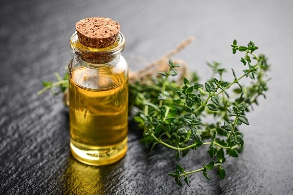 FAQ on thyme oil