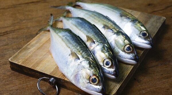 Spinach - Omega 3 fatty acid food