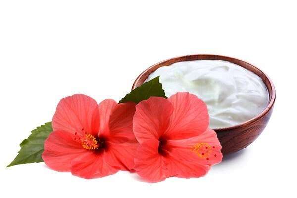 hibiscus leaves for hair