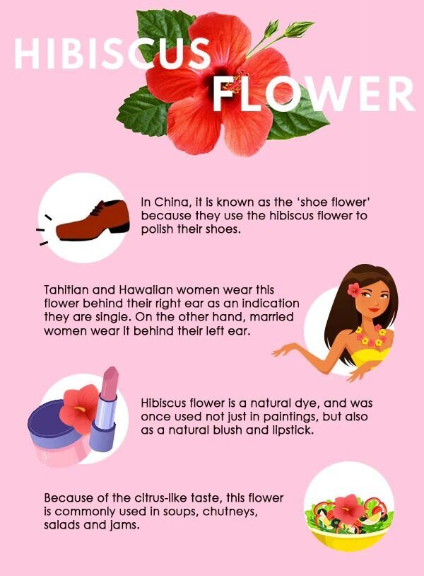 hibiscus leaves for hair