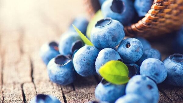 FAQs about antioxidant rich foods for skin