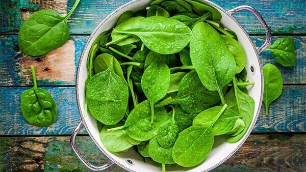 FAQs about antioxidant rich foods for skin
