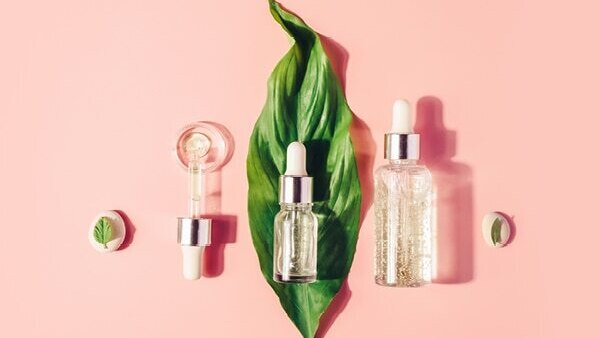 Our Top Picks