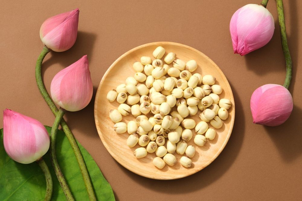 hạt sen có tác dụng gì