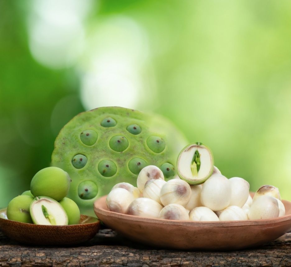 hạt sen có tác dụng gì dưỡng tâm, an thần