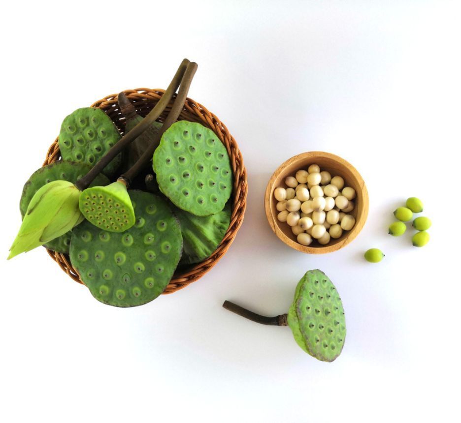 hạt sen có tác dụng gì hỗ trợ chống lão hóa