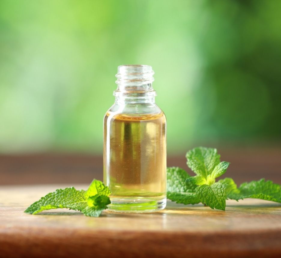 ngứa da đầu về đêm giảm ngứa da đầu bằng nguyên liệu tự nhiên lọ tinh dầu bạc hà đặt bên cạnh những chiếc lá xanh