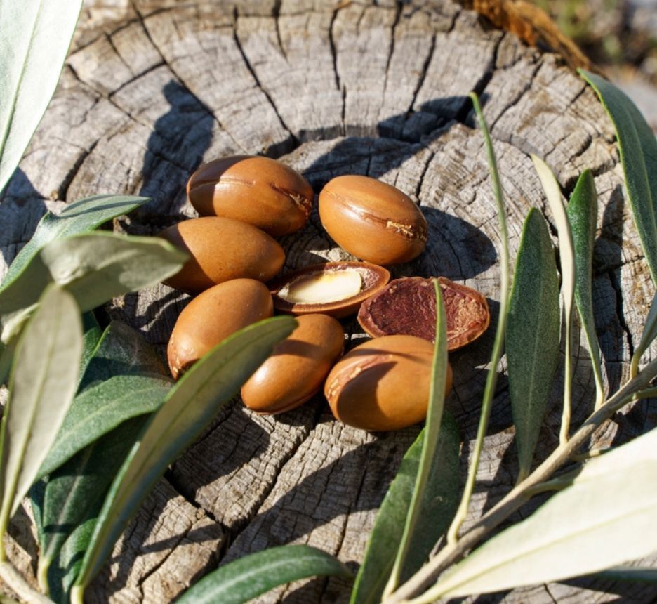 argan oil là gì