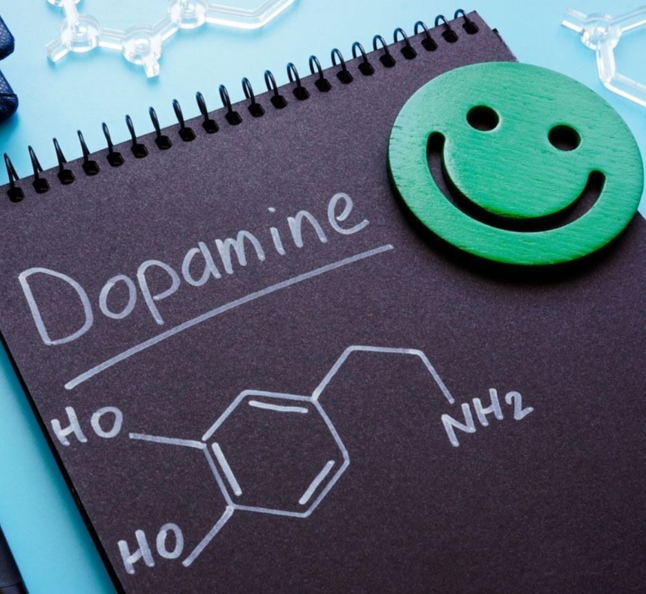 hormone hạnh phúc dopamine là gì