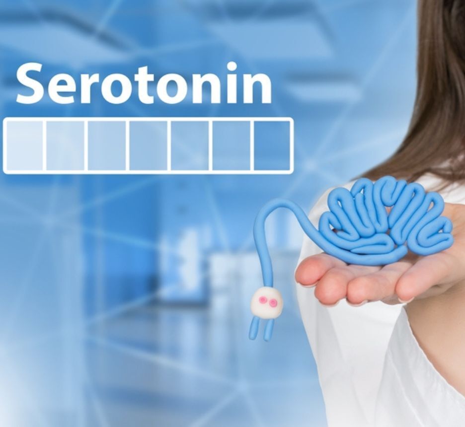 hormone hạnh phúc serotonin là gì