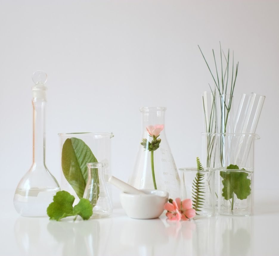 các thành phần có trong essence