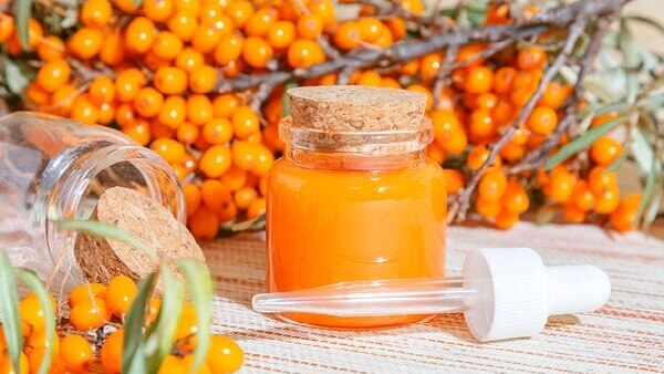 FAQs about sea buckthorn benefits