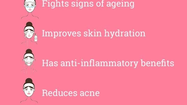 Frequently asked questions about camellia sinensis